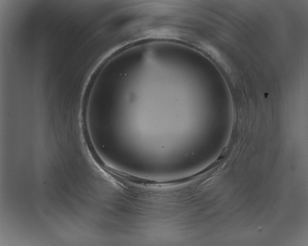 X0000073991331200608211338