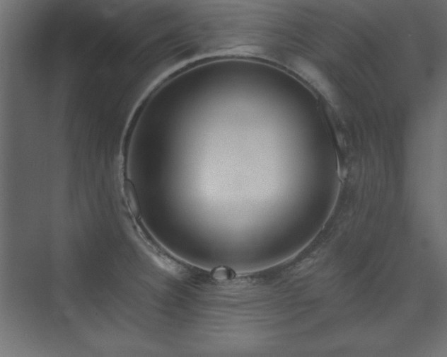 X0000073991332200608211338