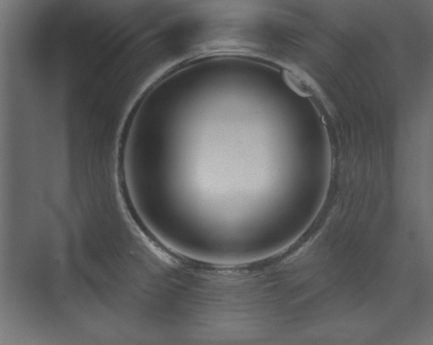 X0000073991333200608211338