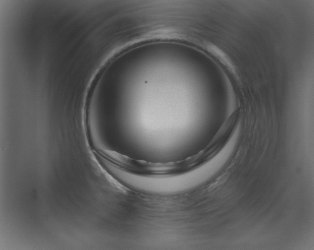 X0000073991334200608211338