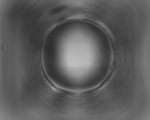 X0000073991337200608211338