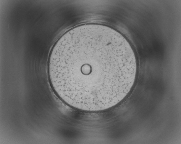 X0000073991338200608211338