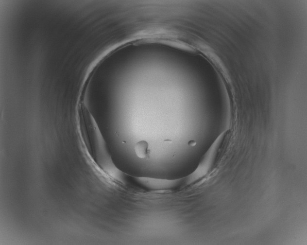 X0000073991344200608211338