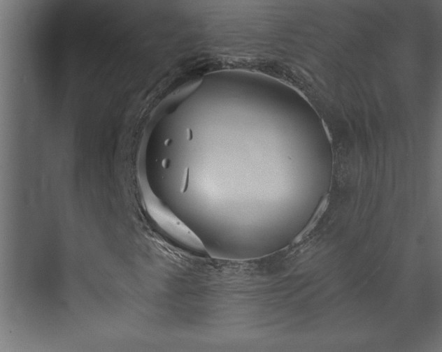 X0000073991345200608211337