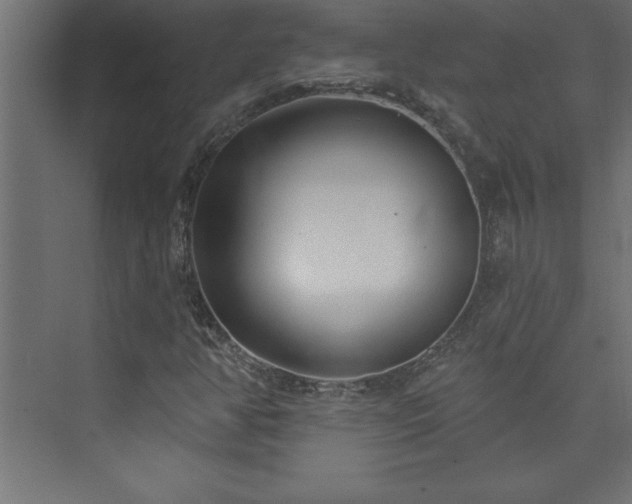 X0000073991350200608211337