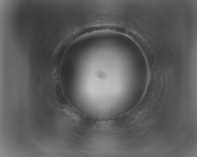 X0000073991351200608211337