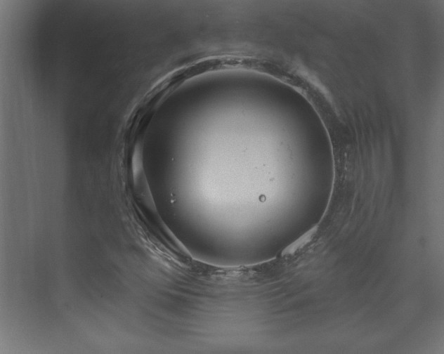 X0000073991352200608211337