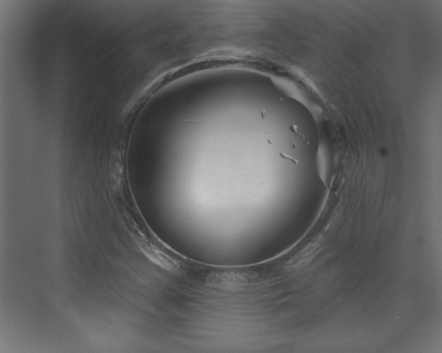 X0000073991355200608211337