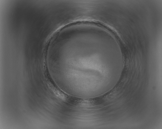 X0000073991359200608211337