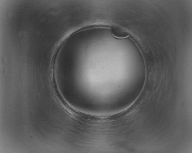 X0000073991367200608211337