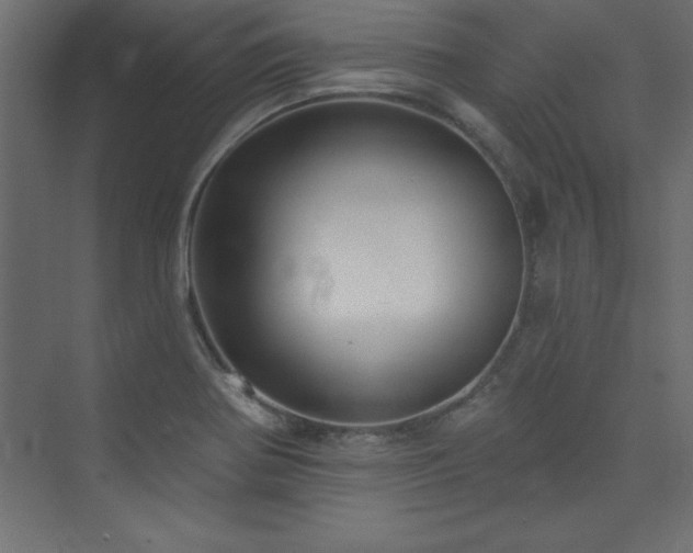 X0000073991370200608211337