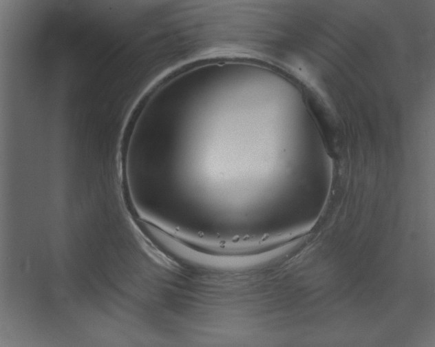 X0000073991372200608211337