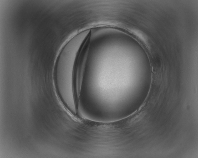 X0000073991373200608211337