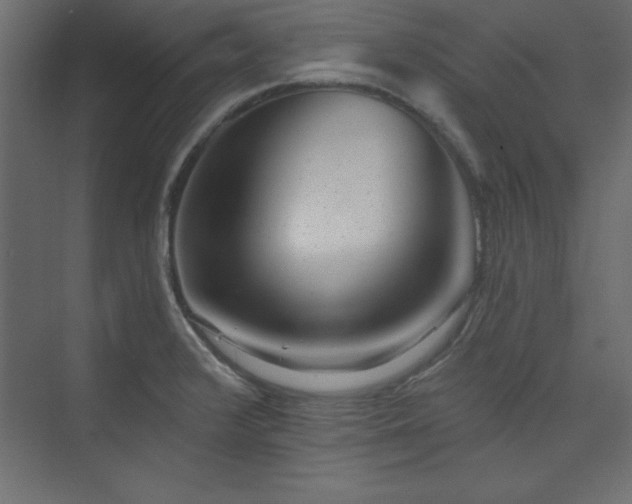 X0000073991376200608211337