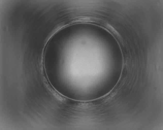 X0000073991378200608211337