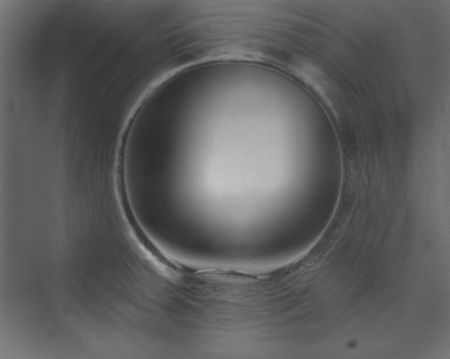 X0000073991379200608211337