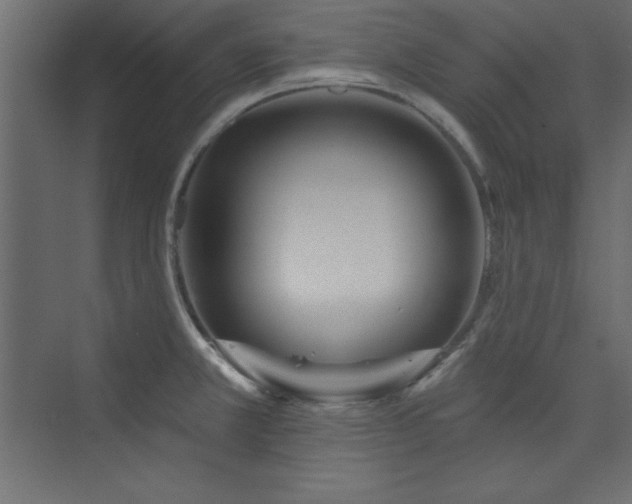 X0000073991381200608211337