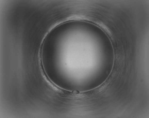 X0000073991382200608211337