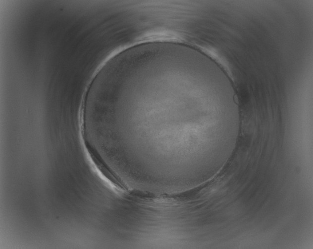 X0000073991383200608211337