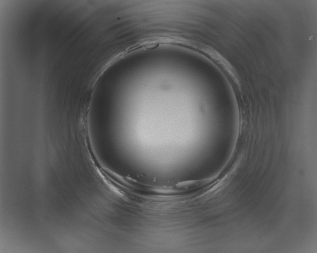 X0000073991385200608211337