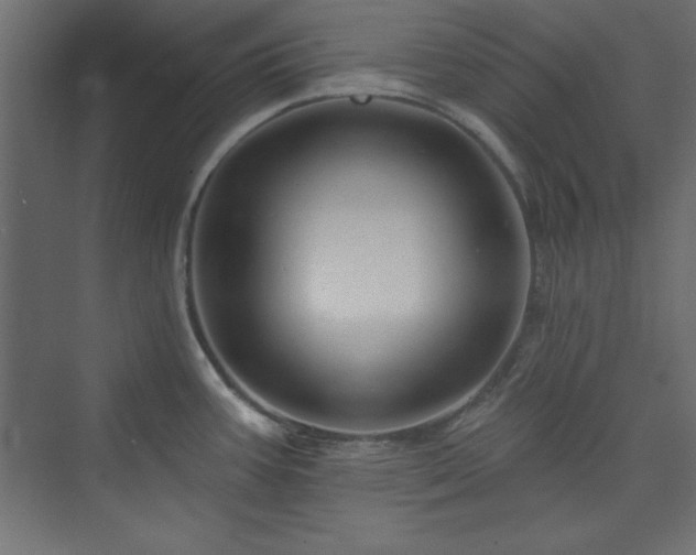 X0000073991387200608211337