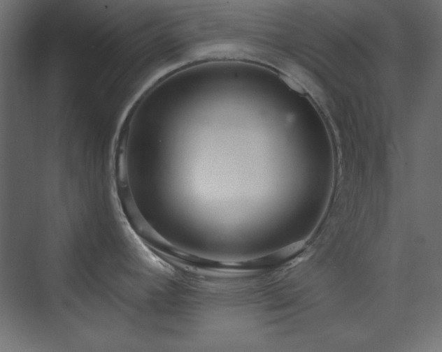 X0000073991392200608211336