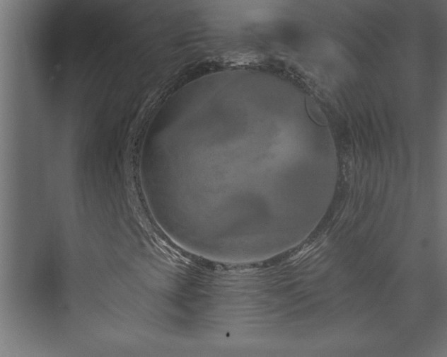 X0000073991393200608211336