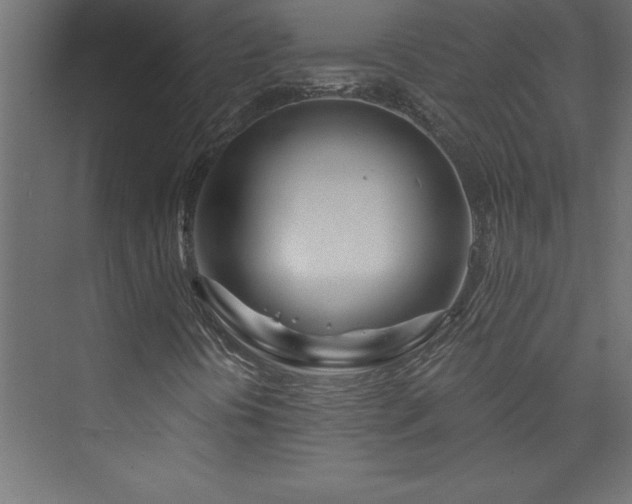 X0000073991394200608211336