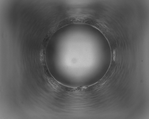 X0000073991395200608211336