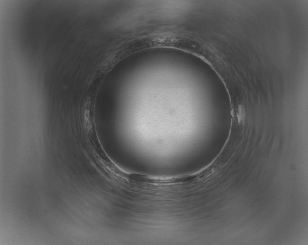 X0000073991396200608211336