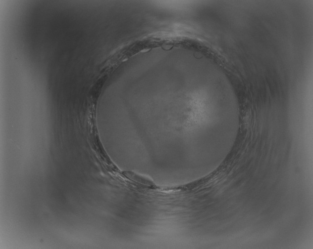 X0000073991397200608211336