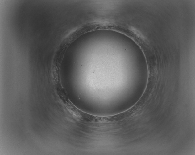 X0000073991398200608211336