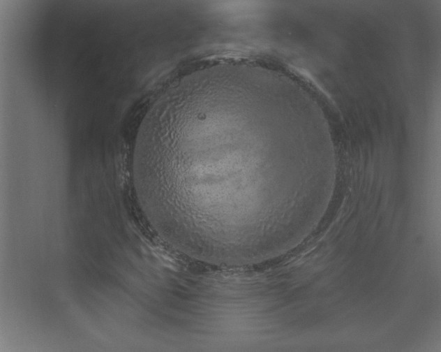 X0000073991399200608211336