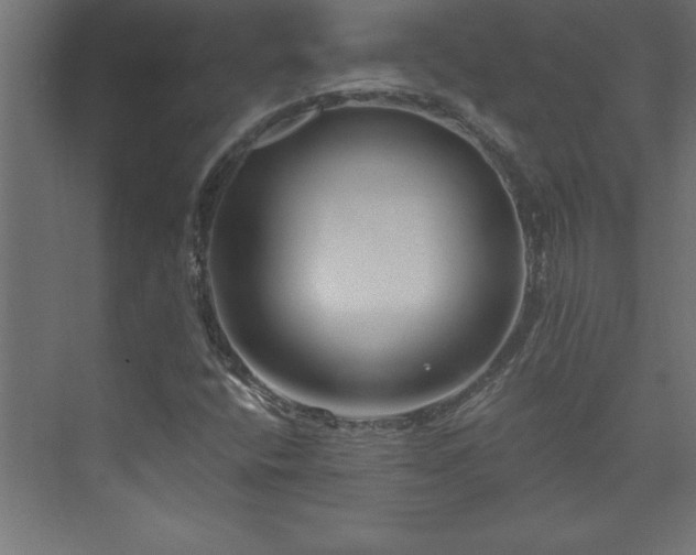 X0000073991400200608211336