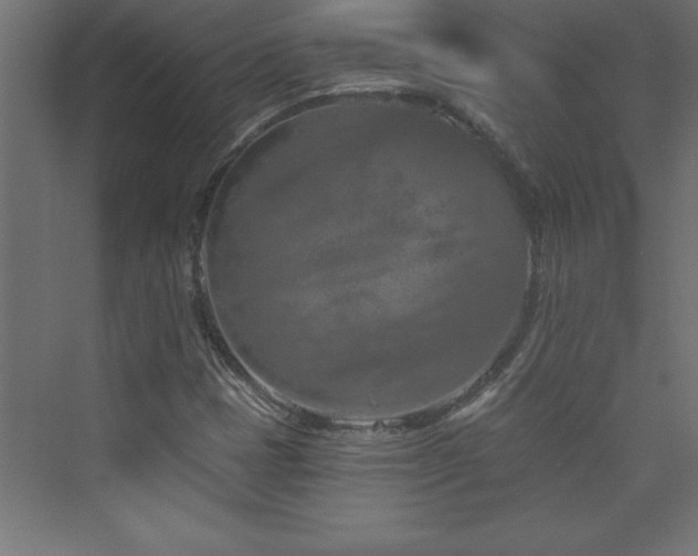 X0000073991401200608211336