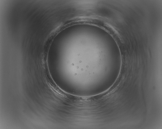 X0000073991403200608211336