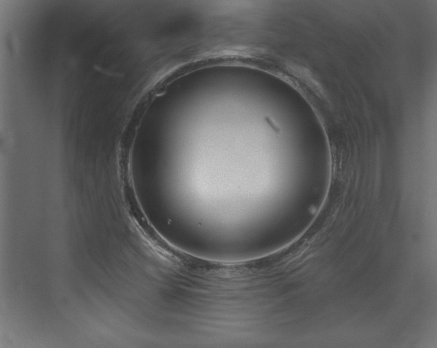 X0000073991404200608211336