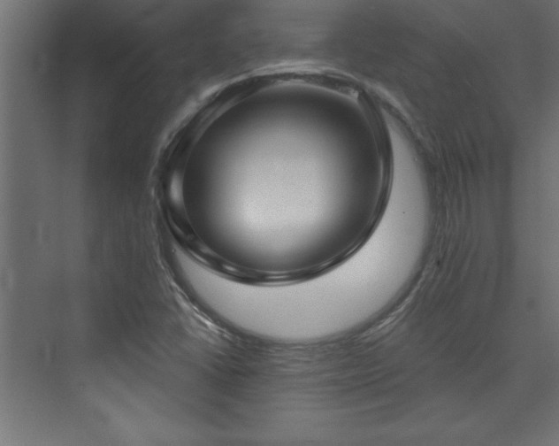 X0000073991406200608211336