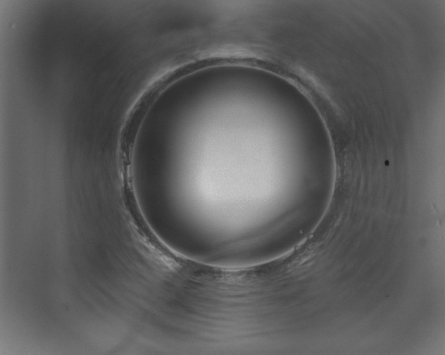 X0000073991408200608211336