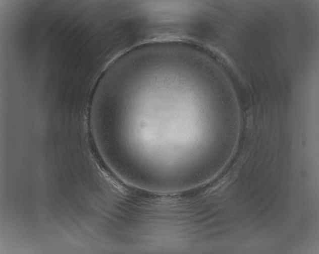 X0000073991409200608211336