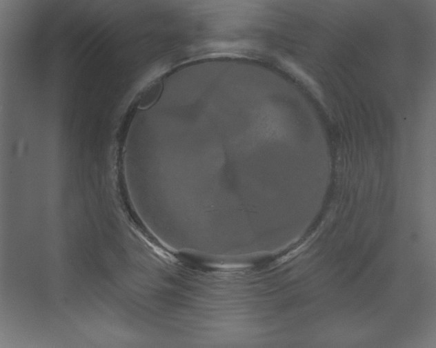 X0000073991411200608211336