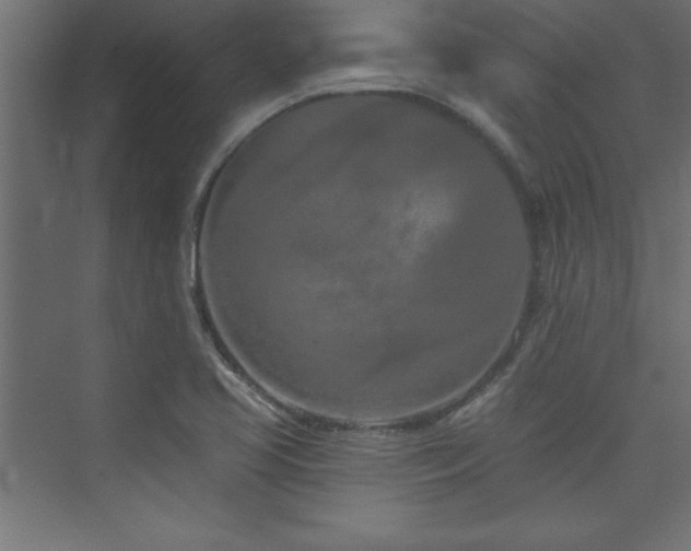 X0000073991413200608211336