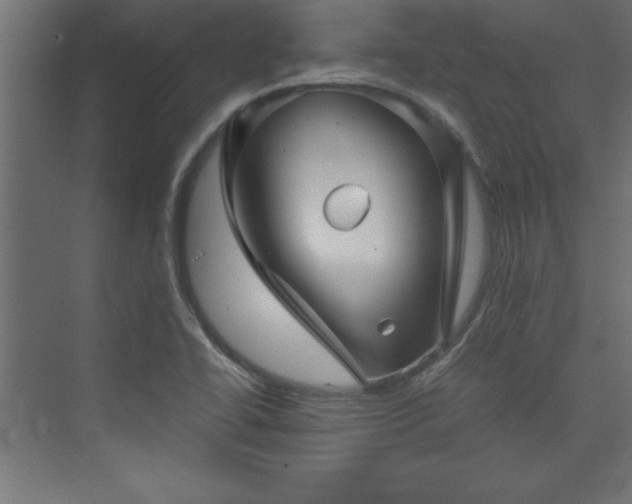 X0000073991414200608211336