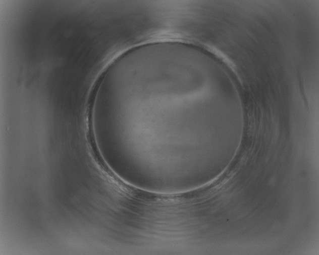 X0000073991415200608211336