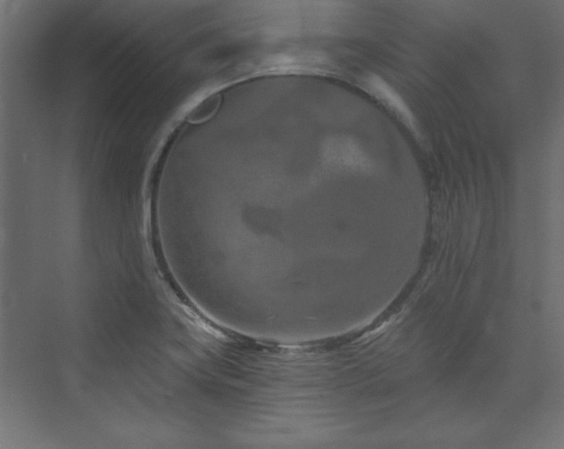 X0000073991419200608211336