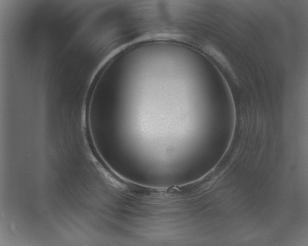 X0000073991420200608211336