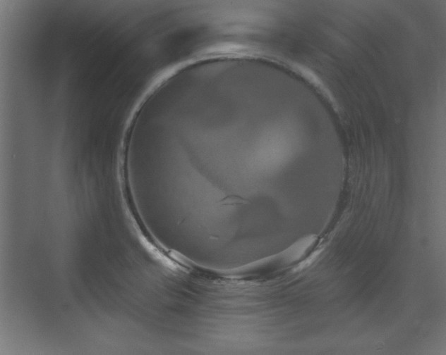 X0000073991421200608211336