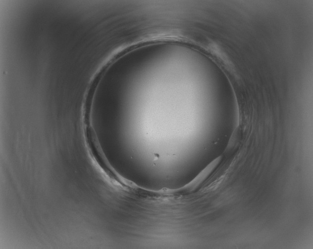 X0000073991422200608211336