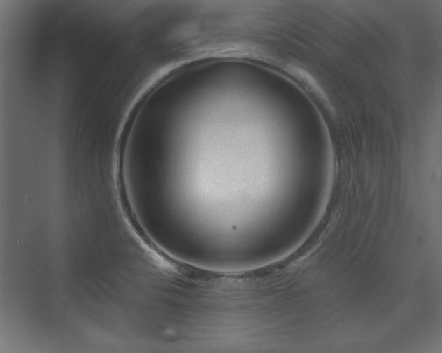 X0000073991424200608211336