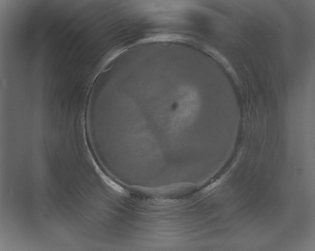 X0000073991425200608211336